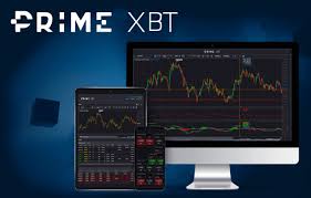 Meet the PrimeXBT Team Innovators in Cryptocurrency Trading -711162749 Meet the PrimeXBT Team Innovators in Cryptocurrency Trading -711162749